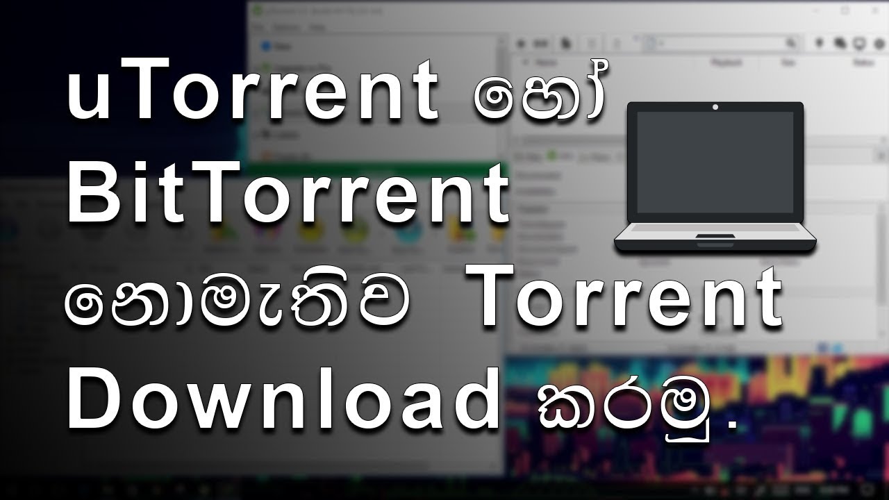 How to download torrent bittorrent